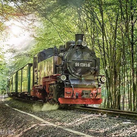 Strandhafer Zentrale Lage Strandnähe Binz